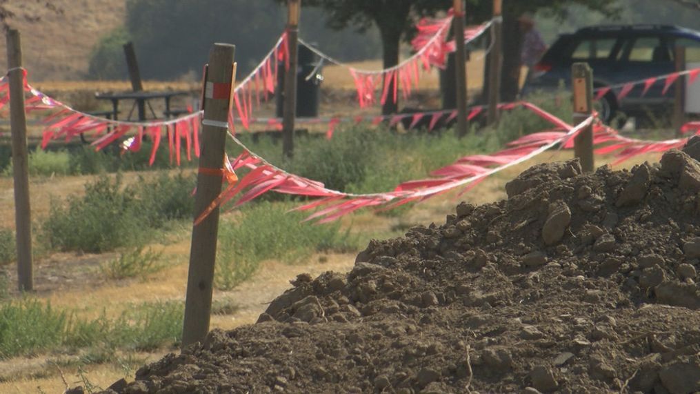 The down and dirty mud run is happening tomorrow morning.{&nbsp;}{p}{/p}